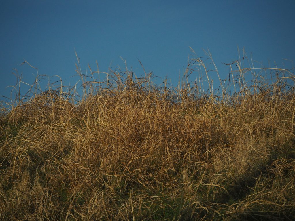 違う空